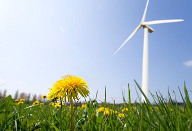 污染治理與修復(fù)