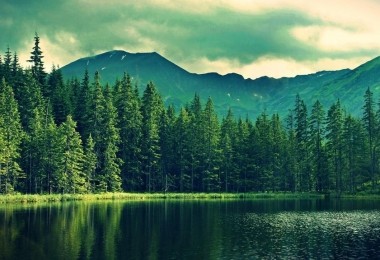 華時(shí)捷環(huán)保入選《國家鼓勵(lì)發(fā)展的重大環(huán)保技術(shù)裝備目錄》技術(shù)裝備支撐單位